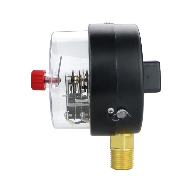30VA 380V 220V 4 NPT1/2 Electrophoretic Housing Electric Contact Pressure Gauges