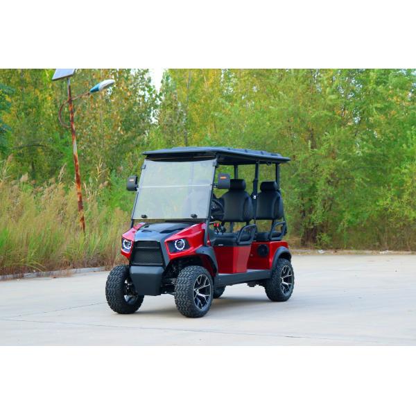 Un seul siège électrique entièrement personnalisable Rario Golf Cart Vintage 8 places