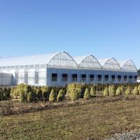 Films en plastique résistant aux rayons UV poly-tunnel