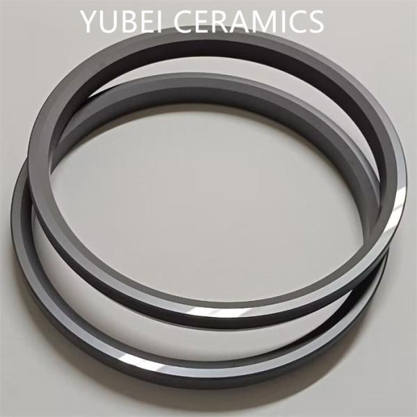 Black Sic Ceramic Rings for High Pressure Applications in Industrial Processing Equipment