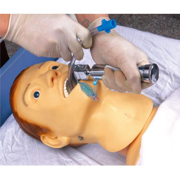Nasogastric Feeding & Tracheal Intubation Simulator for Basic Nursing Training