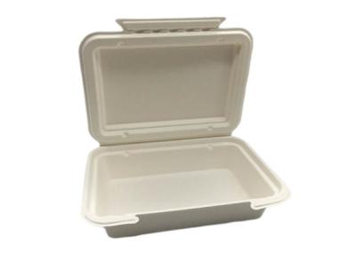 9 ×6” 825ml reduzem a polpa recipientes para viagem biodegradáveis
