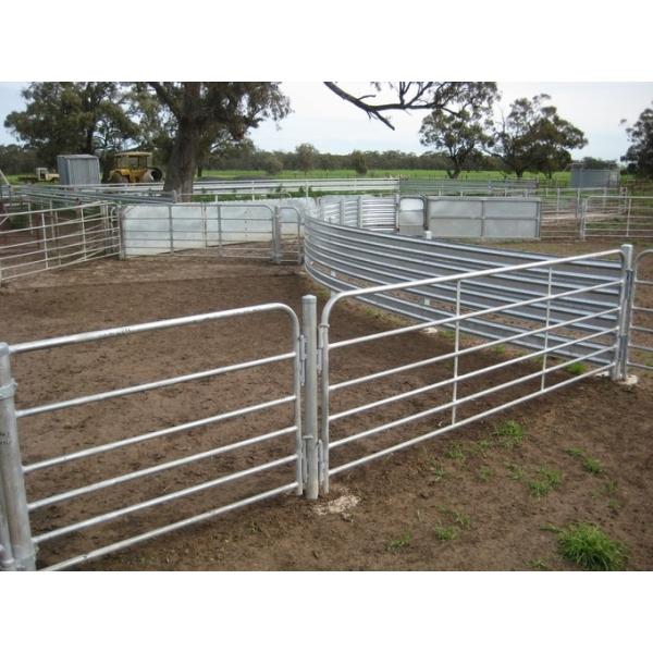 sheep panels for sale
