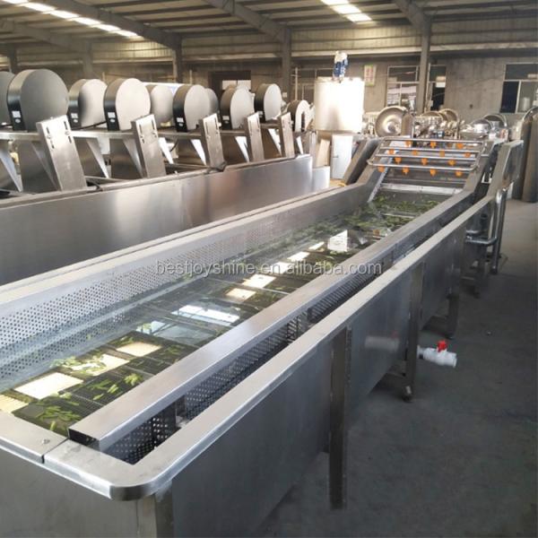 Tomato Washing Machine With Water Filtration System 304 Stainelss Steel Material