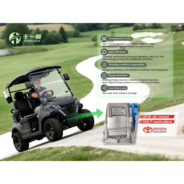 Hot Sell Low Speed New Energy 2 Seater Golf Cart with 48V 150Ah Lithium Battery