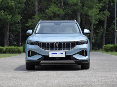VOYAH électrique pur SUV VOYAH voiture électrique VOYAH gratuit 2022 durée de vie de la batterie ultra longue