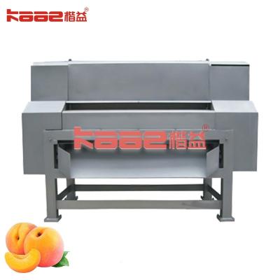 Peach Stone Removing Machine Double Channel Fruit Beating Machine