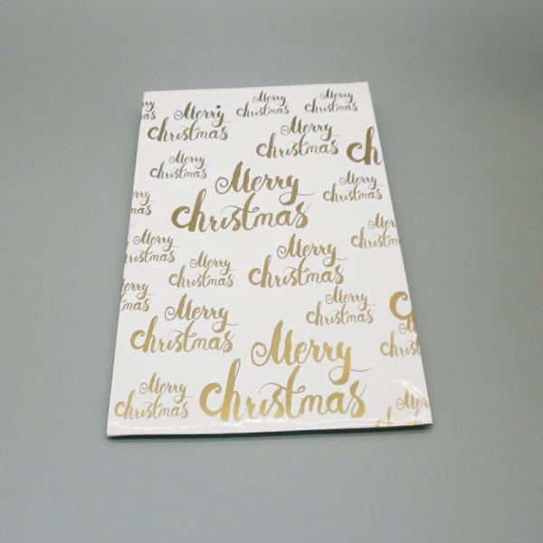 Christmas Recyclable Paper Gift Bag with Drawstring 10x12in