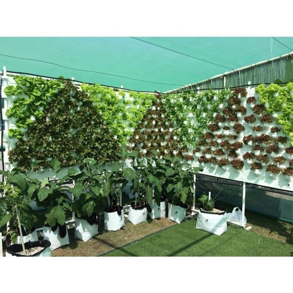 IGreen New Designed Wall Type Hydroponic Vertical Growing Systems