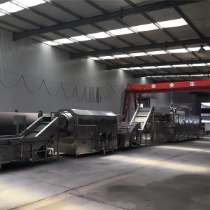 Single Layer Belt Drying Machine