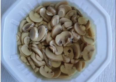 Canned Champignon Mushroom Canned Sliced Mushrooms for Canned Mushroom