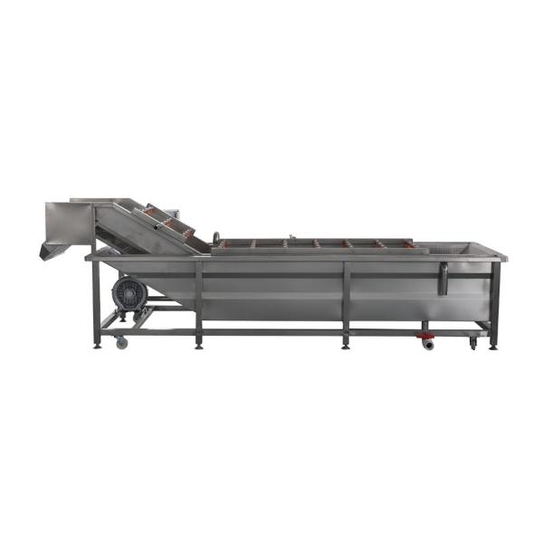 Multi-Function Peeling Machine for Washing Brushing of Fruit Vegetable