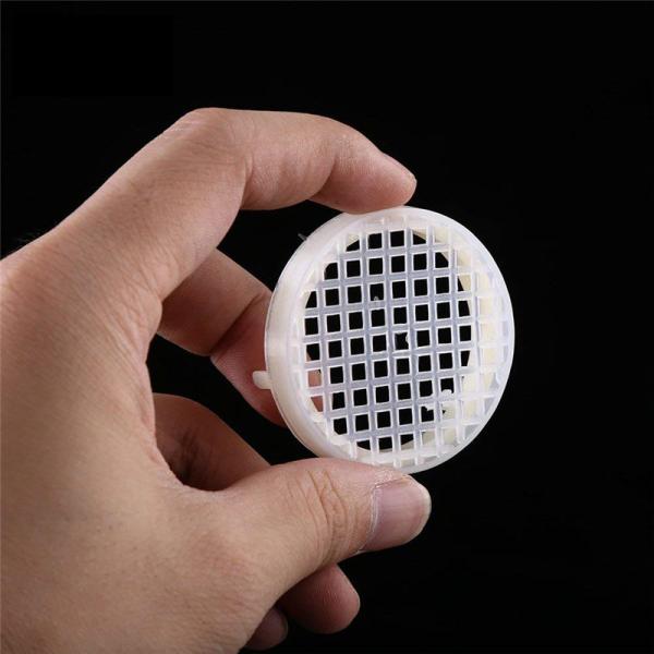 Couleur blanche de élevage d'abeille de l'apiculture de la Reine de la Reine ronde de cage de receveur en plastique de la Reine