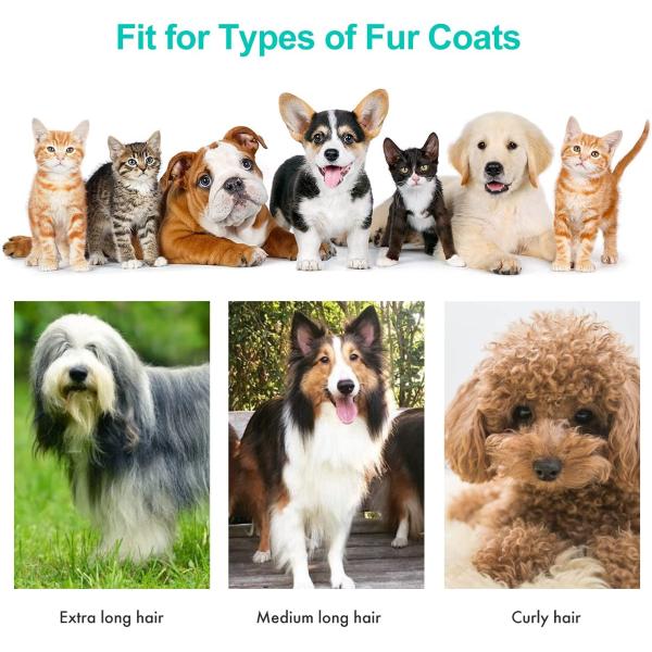 Порошок для волос для домашних животных для собак N.W/G.W. 2,5 кг/5 кг Уберите свой дом за короткое время