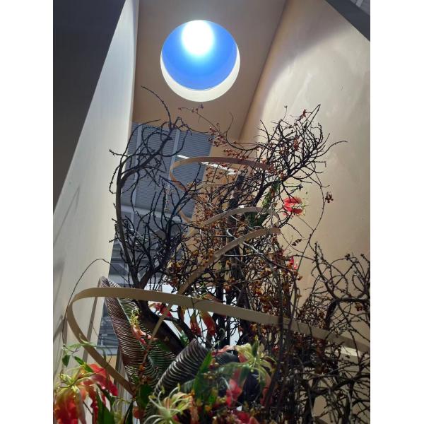 Tragaluz Inteligente Redondo de 2 pies con Simulación Solar, 80W Alto Brillo 3000+ Lúmenes, 2700-6500K, Controlado por Tuya y Remoto, Mesh 5.0, Cobertura de 4m