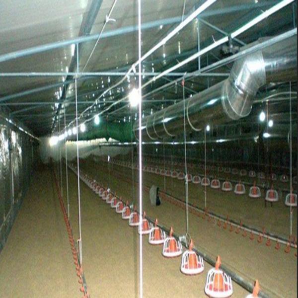 Edificio de estructura de estructura de acero ligero de gallinero ventilado totalmente automatizado