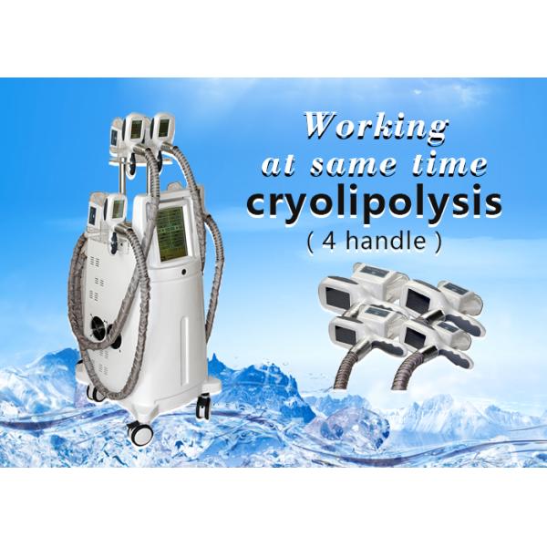 Professional 4 Hand Pieces Cryolipolysis Fat Freeze Slimming Machine