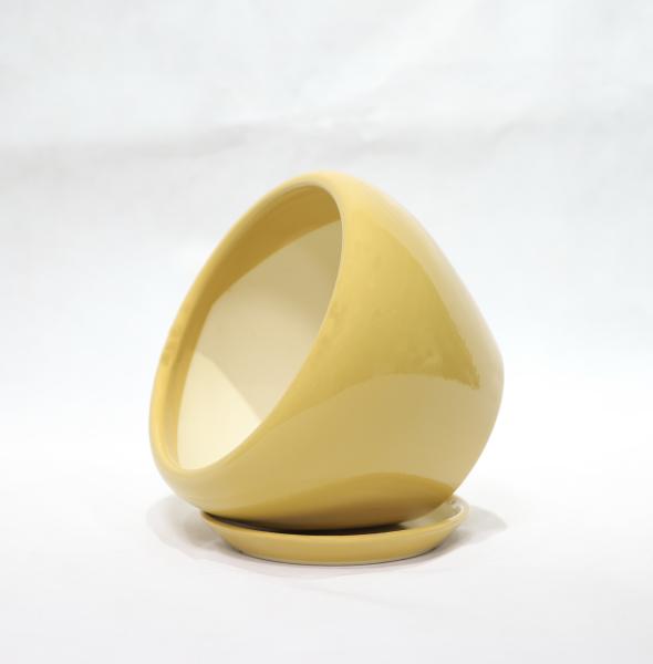 Stylish And Functional Ceramic Pots Perfect For Any Plant And Any Space