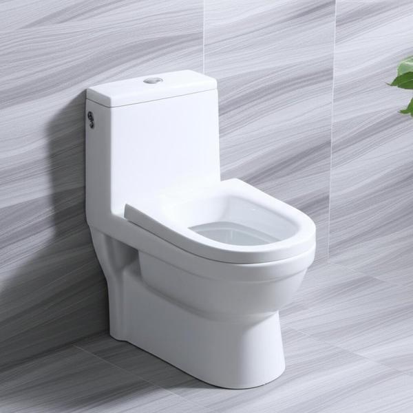 China Supplied High Quality Modern Dual Flush P-Trap S-Trap Bathroom One Piece Ceramic Toilet Seat Wc Toilet Set Bowl