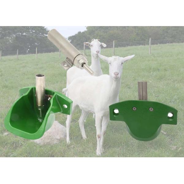 Cast Iron Sheep Water Bowls , Automatic Sheep Waterer Medium Size 0.17L