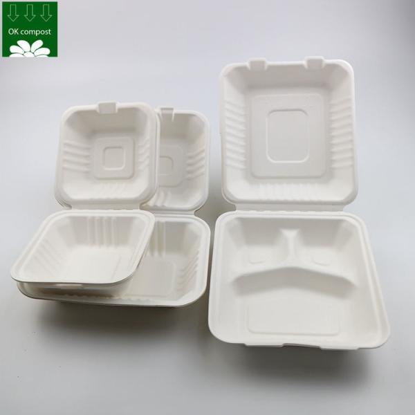 Custom Biodegradable Sugarcane Bagasse Pulp Fiber Fast Food Packing Paper Box Bio Degradable Takeaway To Go Container