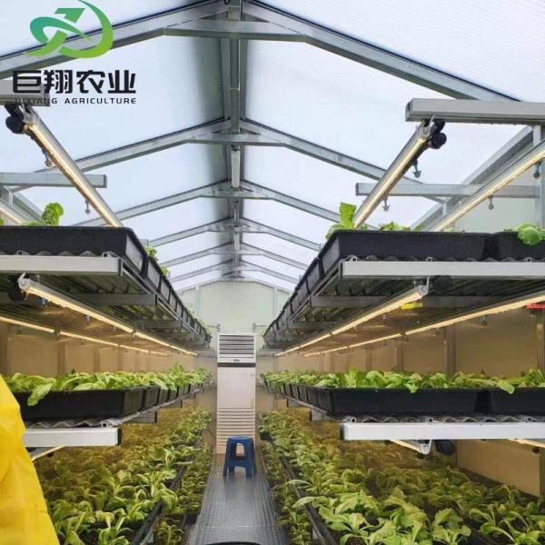 US 40/Piece Сельское хозяйство Строительство теплиц Поликарбонатный лист для помидоров