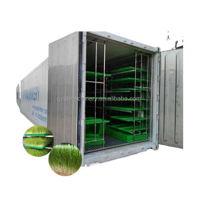 Innovative Hydroponic Feed Growing System for Raising Cattle and Sheep Weight KG 1200