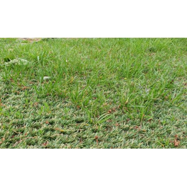16mm 25mm Hybrid Artificial Grass Carpet Garden Landscape Mat Grass lawn