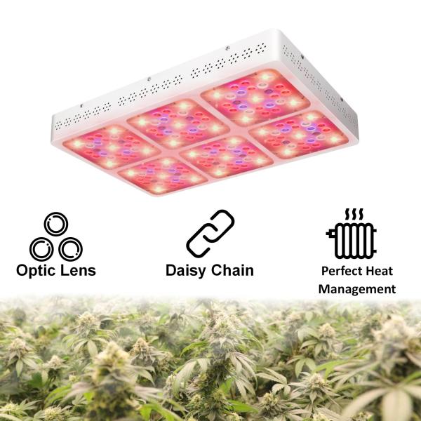 ИП54 полный приведенный спектр 600В растет светлая панель с СИД КРИ и ЭПИ