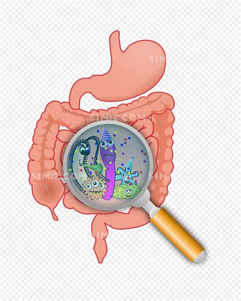 Animal Bacterial Control Poultry Feed Acidifier Effective Antibiotic Alternative