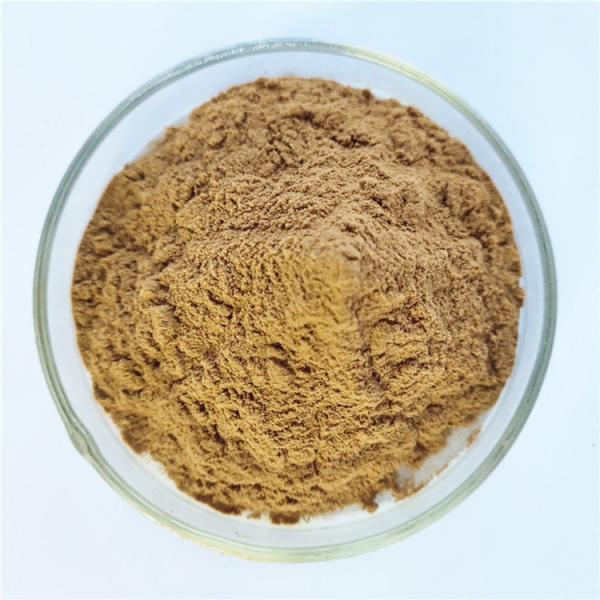 best selling products cardamom extract with best price