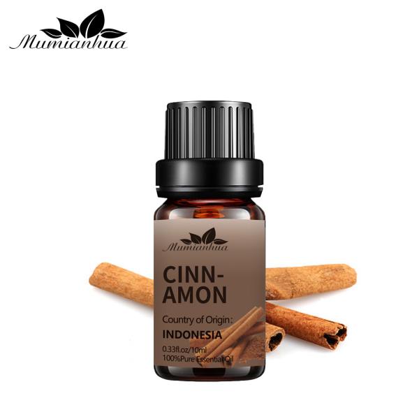 CE natural puro do ODM dos termas da massagem do óleo da aromaterapia do óleo essencial da canela de 5ml 100%