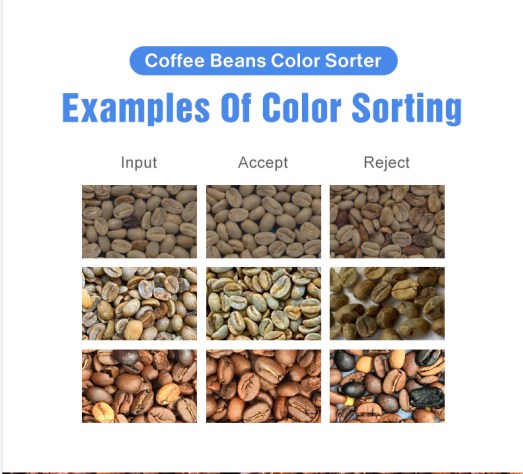 Наиболее популярный мини-сортировщик красок кофе