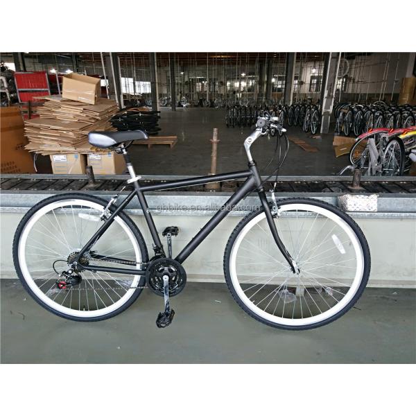 Customize Aluminum Frame 21S Women's Urban Bike Fitness Bikes Hybrid Bicycle for Adult