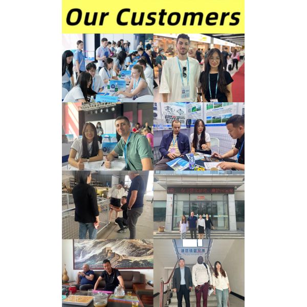 Clear View Anti-theft 358 Security Mesh Fence For Perimeter Protection