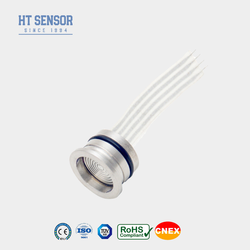 HT Series OEM 316L Stainless Steel Diffused Silicon Pressure Sensor with IP65 Protection