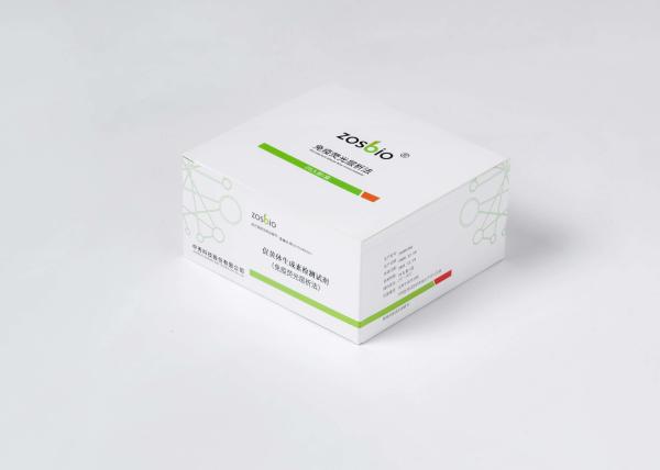 Luteinizing Hormone Ovulation LH Test Strips 0.2-160mIU/mL