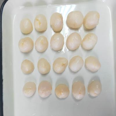 Crop Canned Lychee Canned Lychee Fruit In Syrup Whole Broken 567g 580ml