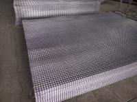 O Sus 2x2 soldou o fio Mesh Eletro Or Hot Dipped galvanizado