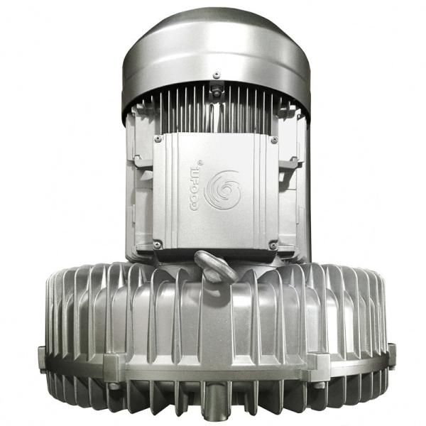 Industrial Double Stage Vortex Air Blower , High Rate Side Channel Vacuum Pump