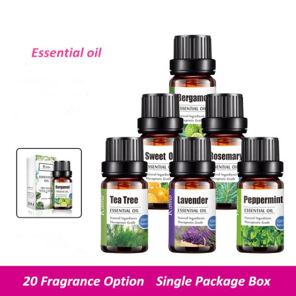 Wholesale 10ml Natural 100% Pure Essential Oil For Aroma Diffuser Body Facial Care SPA Fragrance Aromatherapy