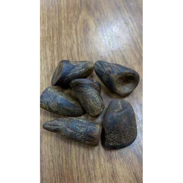 NhaTrang Bai Qinan 10A Small Whole OUD Agarwood Material Natural Selected Submersible Grade Old Material Oil Thick