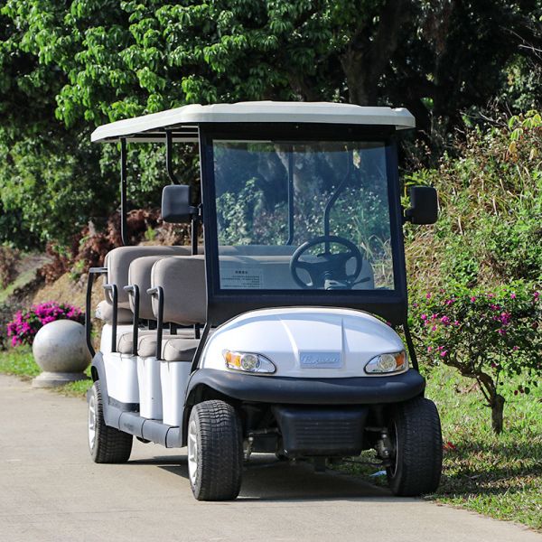 11 Passenger Electric Sightseeing Car 48V Trojan Battery /Curtis Controller