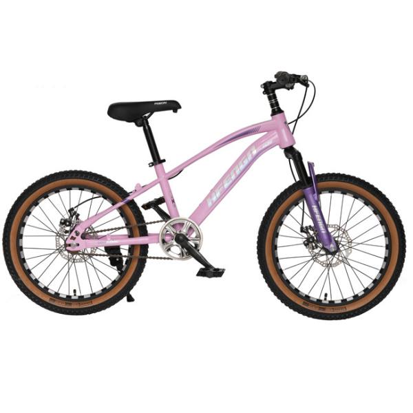 20inch Lightweight Mountain Bike Junior MTB Bike With Carrier 7 Gear