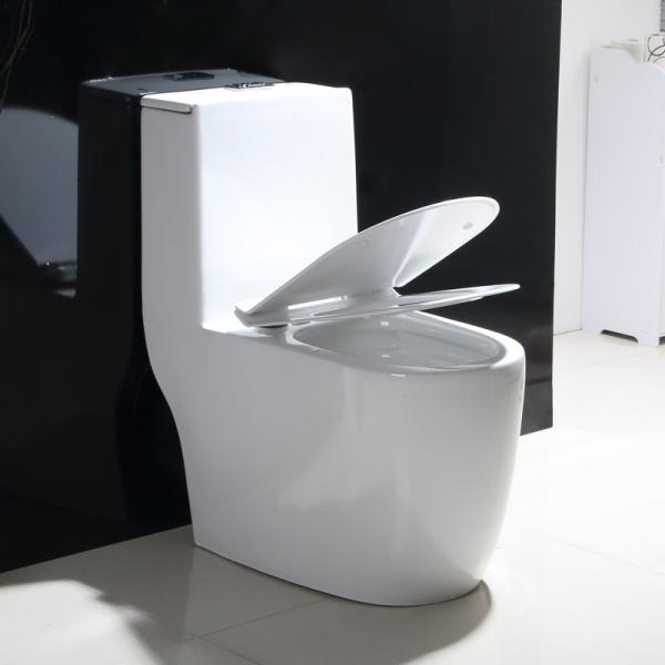 Dual-Flush Single Piece Toilet with Scratch Resistant Glaze