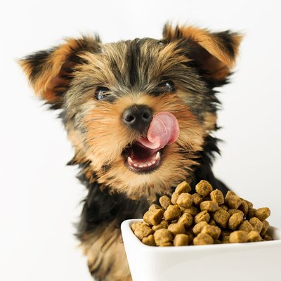 Brown Powdered DDC Pet Feed Additives With Natural Liver Flavor