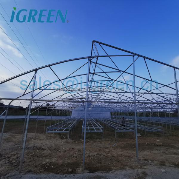 Strong Frame Greenhouse with Hot Dipped Galvanized Steel Structure and Film Cover