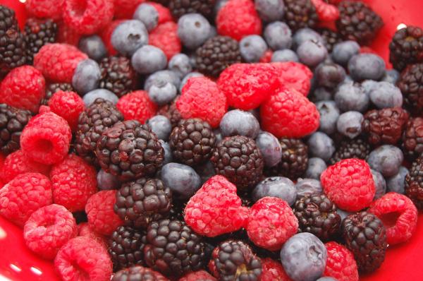 Fresh IQF Frozen Mixed Berries Blackberry Strawberry Raspberry Blueberry in Blackberry Strawberry Berries Style