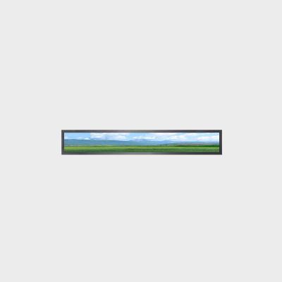 36Écran LCD de type barre de 0,65 pouce 1920*226 LVDS 1000nits