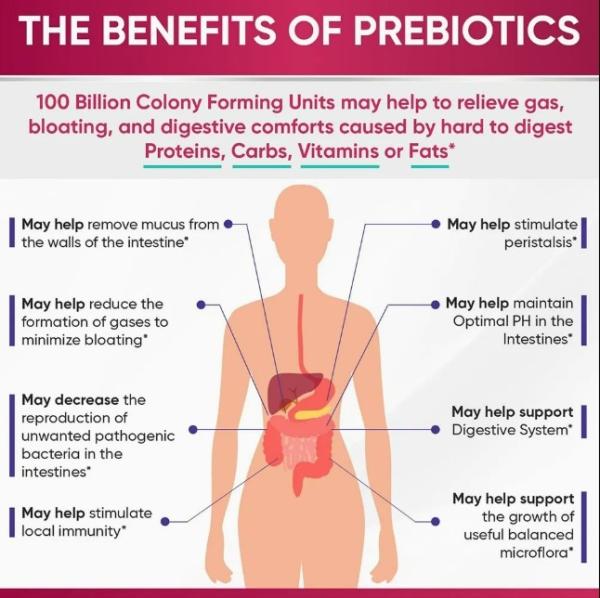 Digestive Enzymes And Bromelain Probiotic Detox Supplement Capsules Slimming Pills